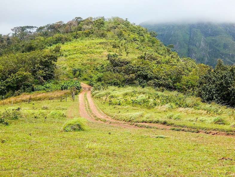 chaduranga para jeep safari